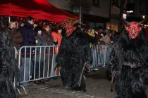 Freilassing 2009 30.11.2009 18 47 49